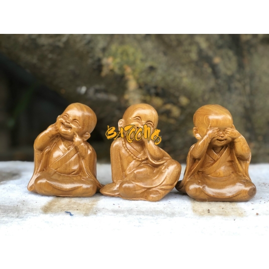 TAM CHÚ TIỂU